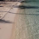 land meets water photography contest